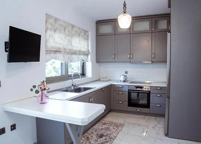 Aroma Elias クリッシ・アモウディア