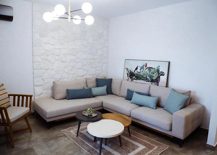 Aroma Elias 克里斯阿穆迪亚